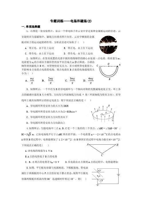 安徽庐江二中高三物理二轮复习----电场和磁场(2)