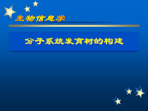 分子系统发育树的构建