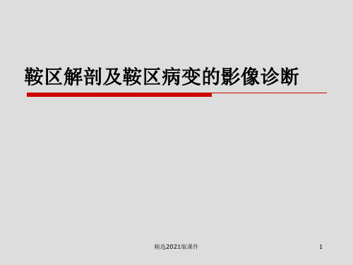 鞍区解剖及鞍区病变的影像诊断