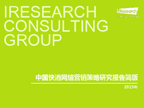 2013年中国快消网络营销策略研究报告简版