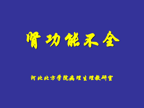 肾功能不全(zzg)