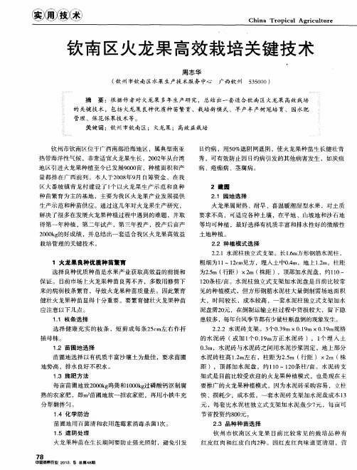 钦南区火龙果高效栽培关键技术