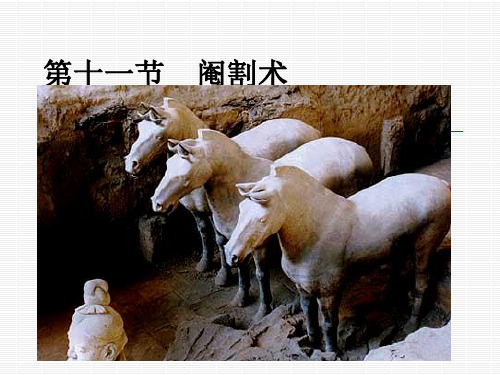 第十一节   阉割术