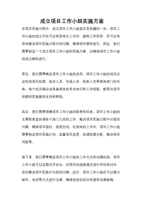 成立项目工作小组实施方案