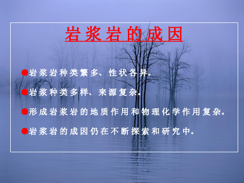 岩浆岩的成因
