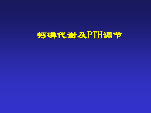 钙磷代谢2