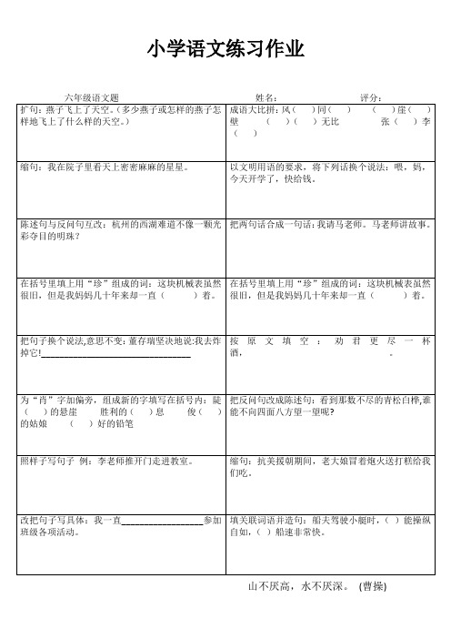 小学六年级语文课堂延伸练习I (6)