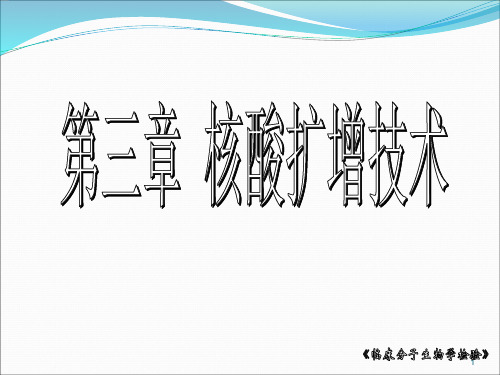 核酸扩增技术