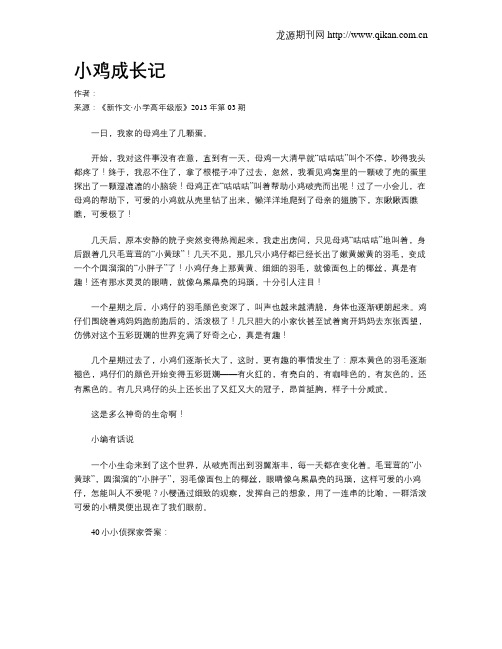 小鸡成长记