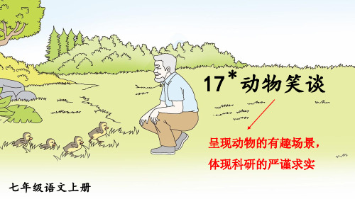 部编人教版七年级语文上册第17课《动物笑谈》精品课件【最新】