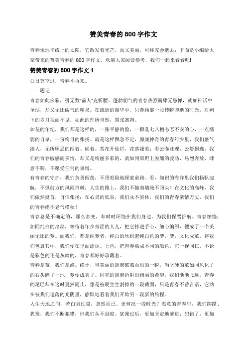 赞美青春的800字作文