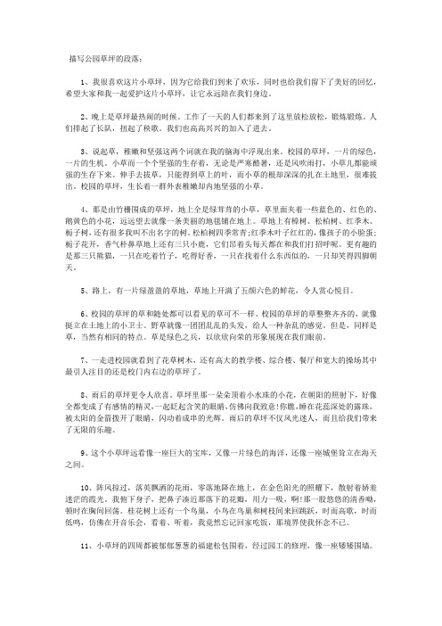 描写公园草坪的段落