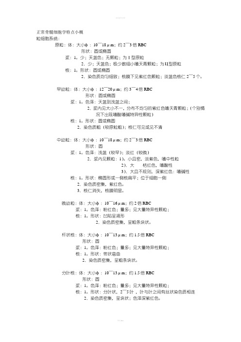 骨髓细胞形态学上的特点