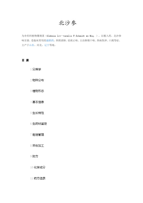 中药北沙参介绍