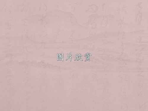 我和狗狗的十个约定