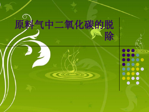 原料气中二氧化碳的脱除