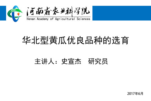 华北型黄瓜优良品种的选育