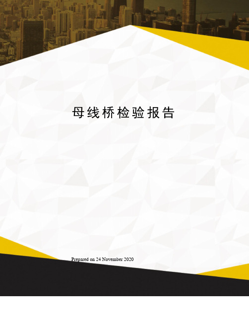 母线桥检验报告