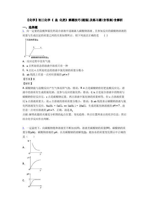 【化学】初三化学《 盐 化肥》解题技巧(超强)及练习题(含答案)含解析