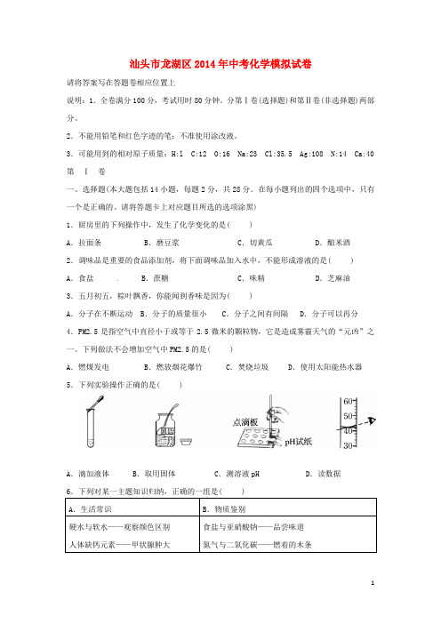 广东省汕头市龙湖区中考化学模拟试题