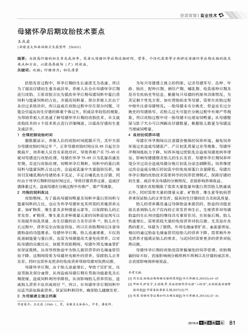 母猪怀孕后期攻胎技术要点
