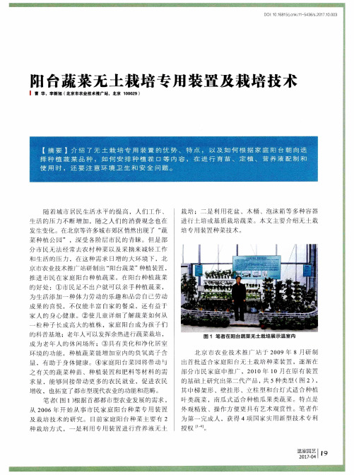 阳台蔬菜无土栽培专用装置及栽培技术