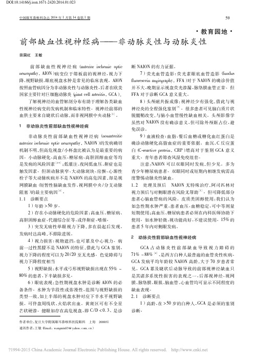前部缺血性视神经病_非动脉炎性与动脉炎性_田国红