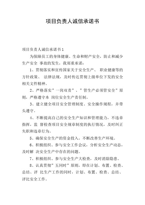 项目负责人诚信承诺书
