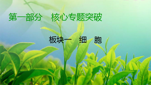 【精品推荐】2020高考生物二轮专题复习课标通用版 板块1 细胞 第3讲