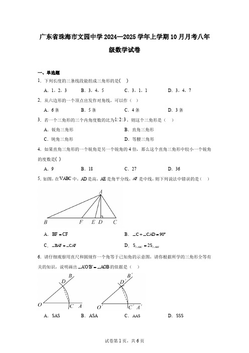 广东省珠海市文园中学2024—2025学年上学期10月月考八年级数学试卷