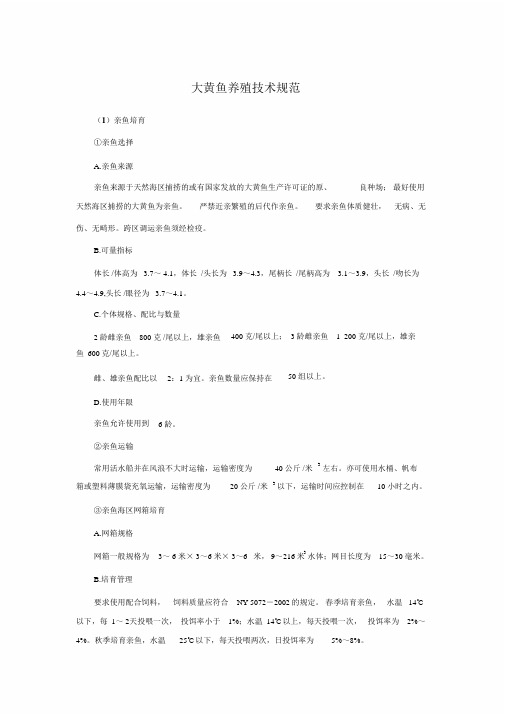 大黄鱼如何养殖大全规范
