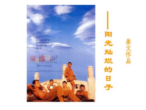 004《阳光灿烂的日子》