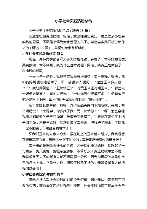 关于小学社会实践活动总结（精选13篇）