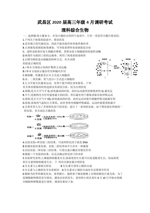 湖北省武汉市武昌区2020届高三年级四月调研考试理综生物含答案