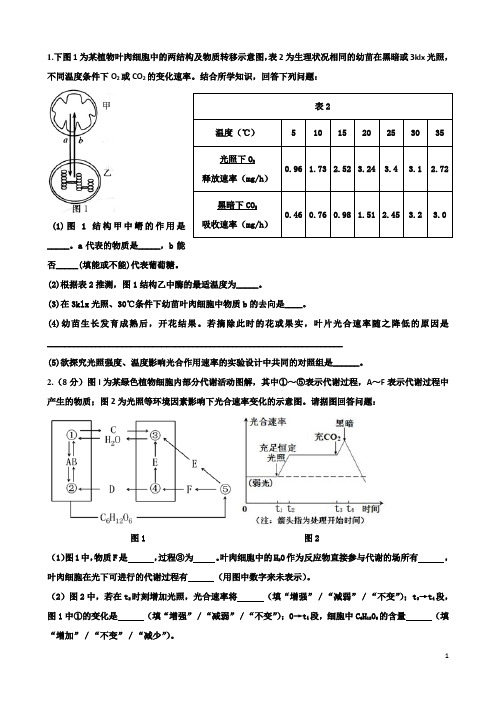光合与呼吸经典习题.