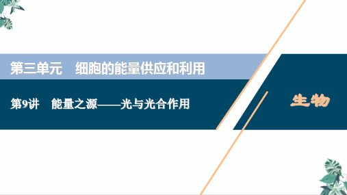 能量之源—光与光合作用课件新高考总复习生物