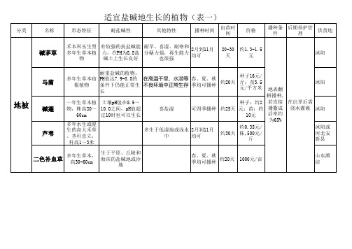 盐碱地地被植物