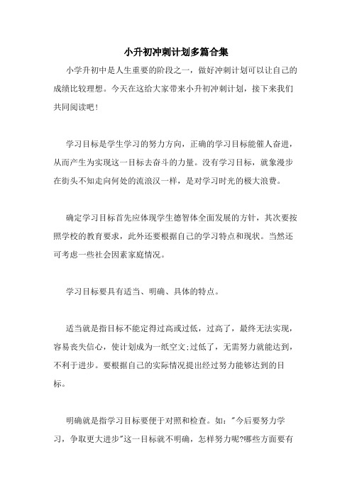 2021年小升初冲刺计划多篇合集