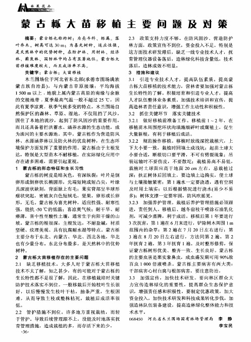 蒙古栎大苗移植主要问题及对策