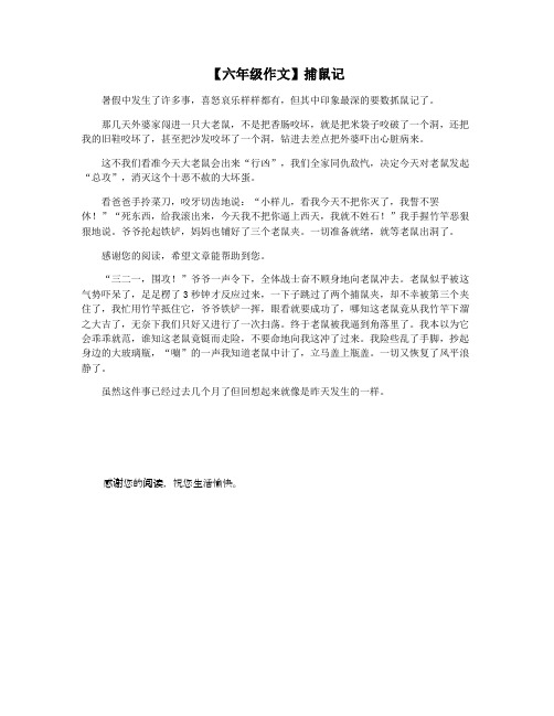 【六年级作文】捕鼠记