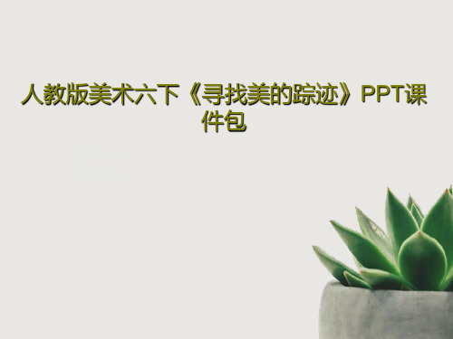 人教版美术六下《寻找美的踪迹》PPT课件包共75页文档