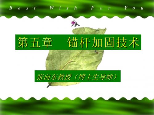岩土工程稳定与加固-05-1