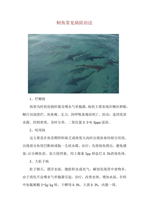 鲟鱼常见病防治法