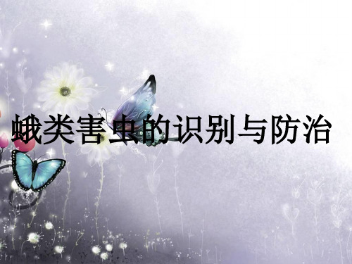 蛾类害虫的识别与防治