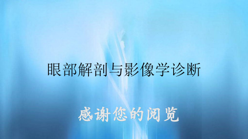 眼部解剖与影像学诊断