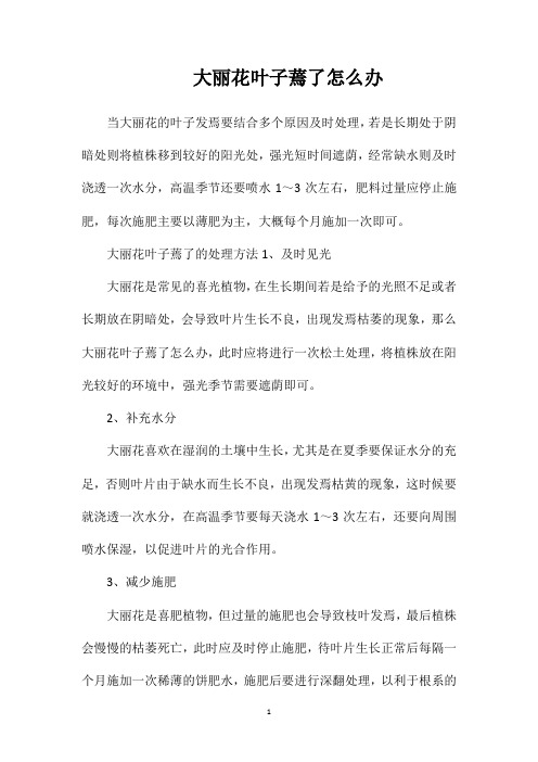 大丽花叶子蔫了怎么办