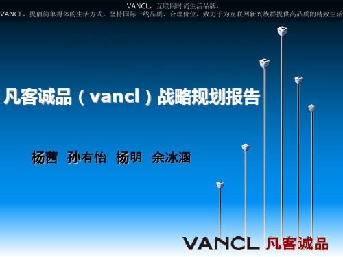 凡客诚品(vancl)战略规划报告.pptx