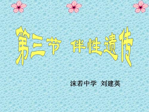 必修二2.3伴性遗传(73张PPT)