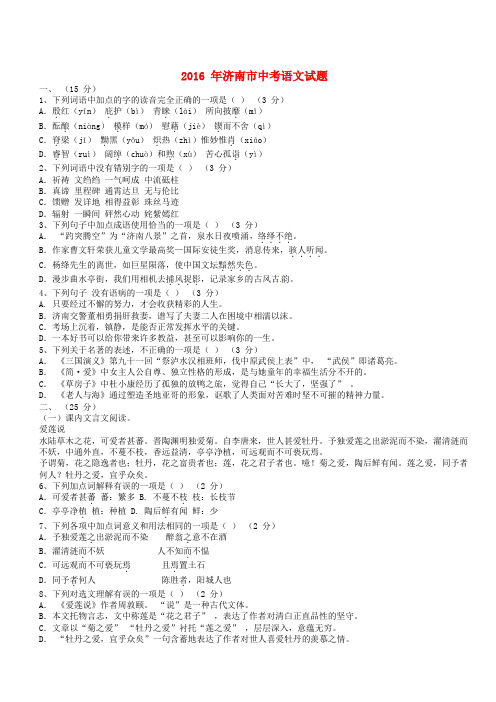 山东省济南市2016年中考语文真题试题(含解析)