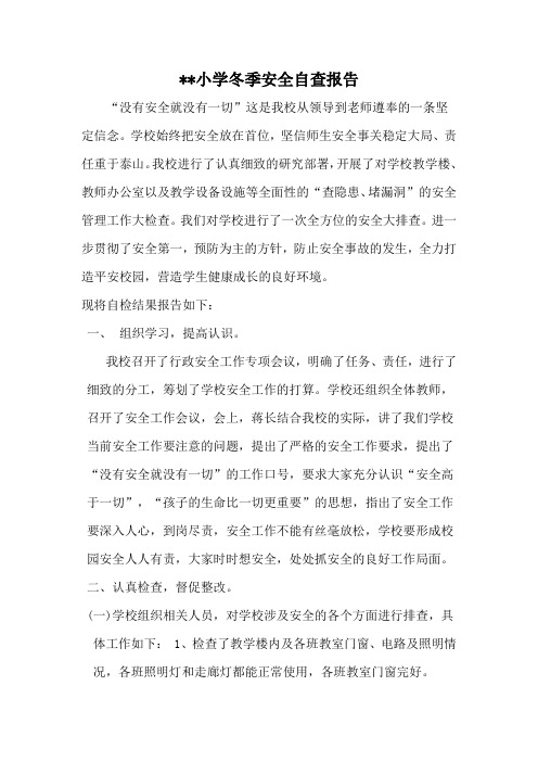小学冬季安全自查报告